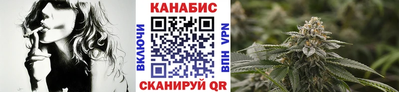 Купить где  Западная Двина  Канабис семена 
